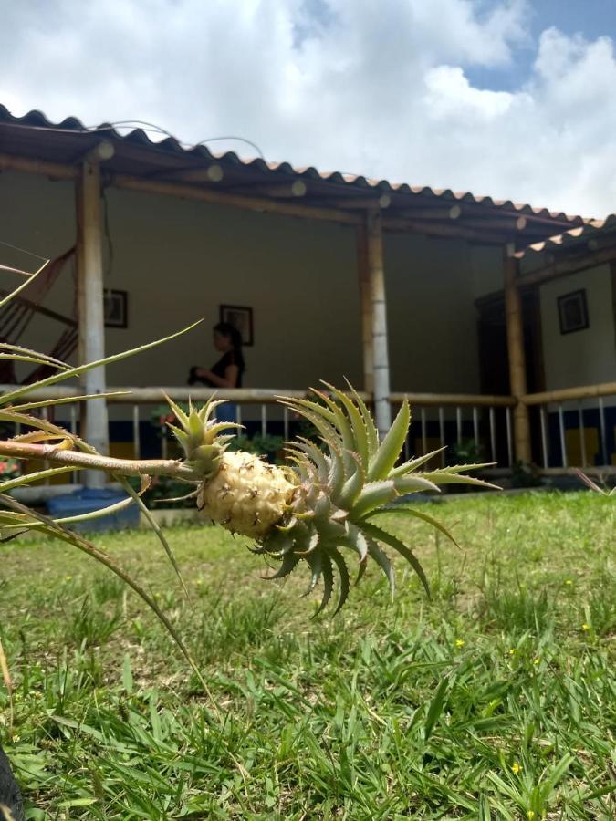 La Esmeralda Casa 2 Country house Calarca